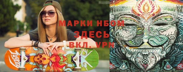 гашик Пестово