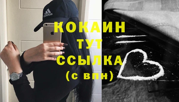 гашик Пестово